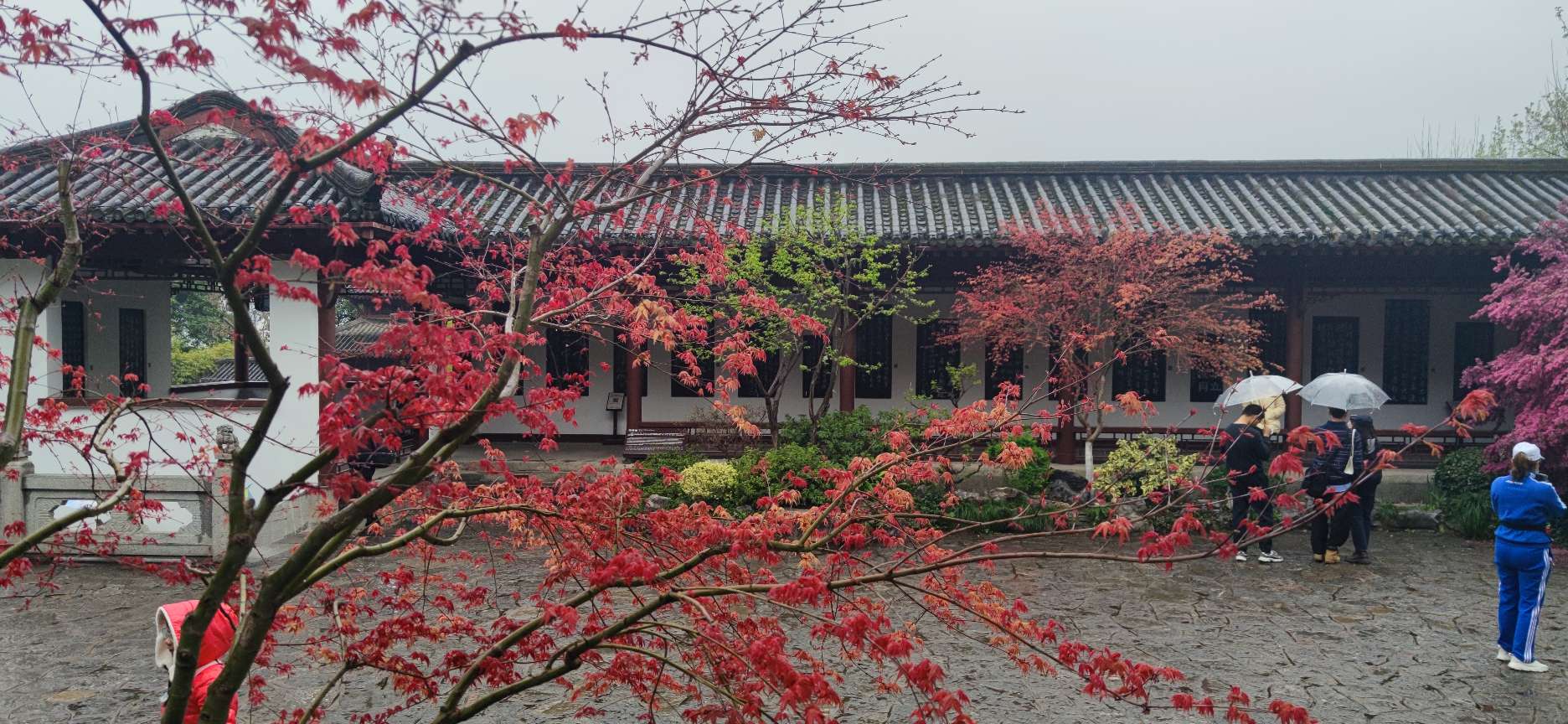 2023年3月-与狗子在武汉